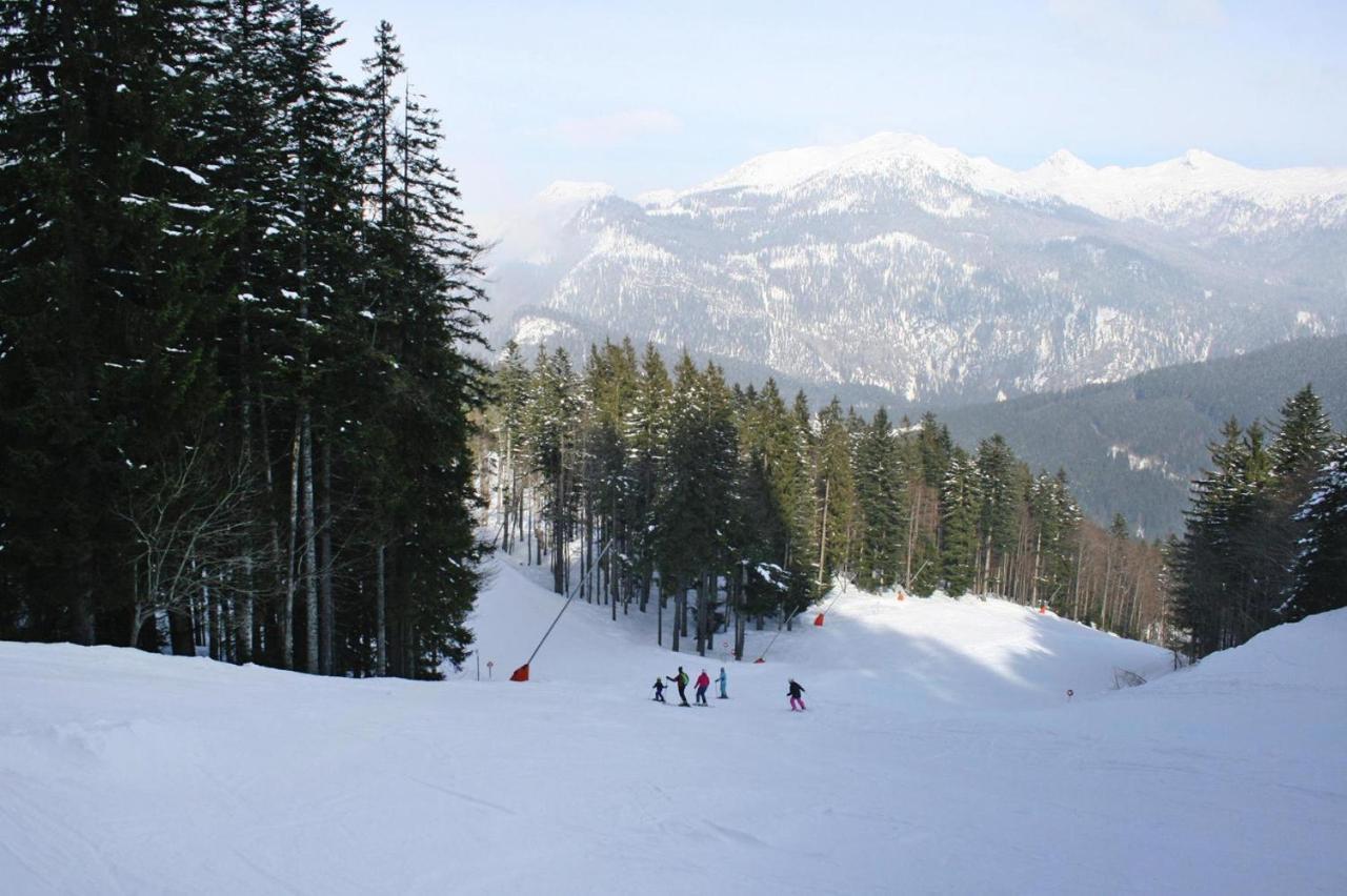 Holiday Resort Altaussee, Lichtersberg Eksteriør billede